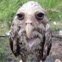 онет фимоз тыщ тыщ тыщ о нет творожок тыщ тыщ тыщ