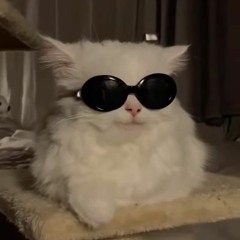 benyalin0007