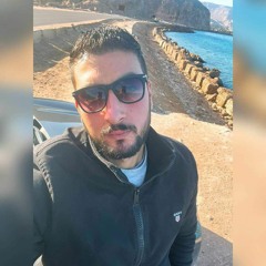 khaled elshamy