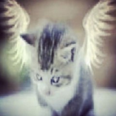 babysaint