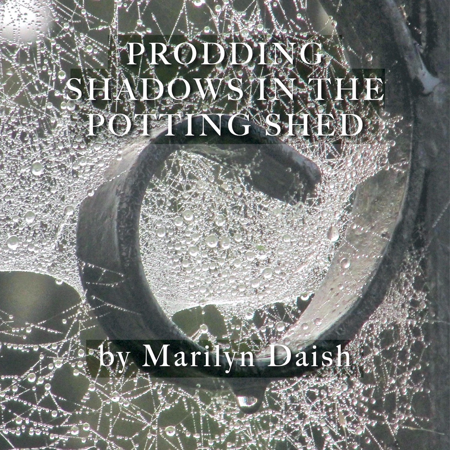 Prodding Shadows in the Potting Shed