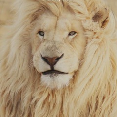 Rajvir gill