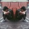 Dazeed