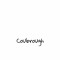 Coubs