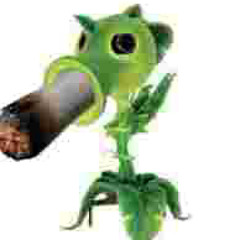 bug person