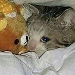 lonely mumu