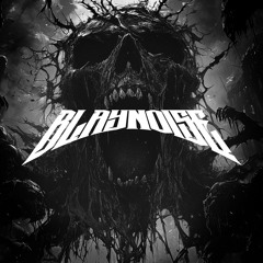 Blaynoise