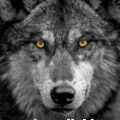 loenwolf’s avatar