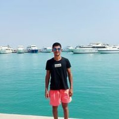 Mahmoud Ashour