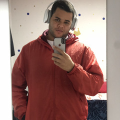 Vinicius Henrique Ribeiro