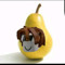 Pear tubers (non-racist ver)