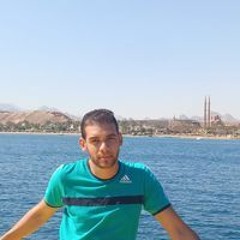 محمود الشيخ