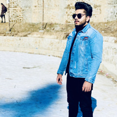 abdulhaseeb mir