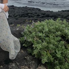 ✨🌊✨