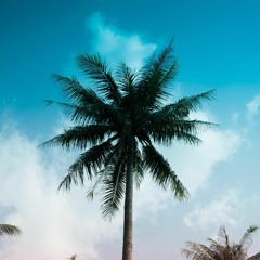 Osama Mohamed Mohamed