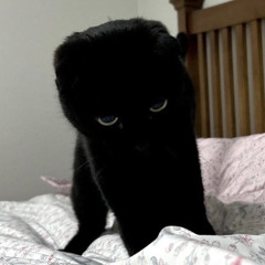 나 다시 올땐 몰게 key