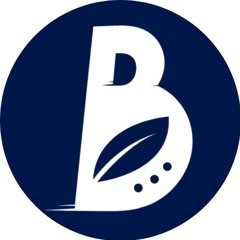 Best Of Business Analyst