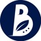 Best Of Business Analyst