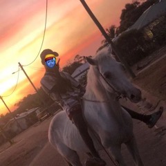Benson høseaシ