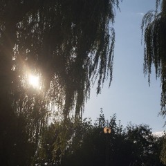 Under_The_Sun