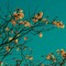 forgetmenot1314