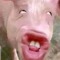 Kathi Diff