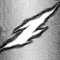 NESH