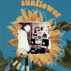 sunflowerbboy