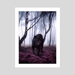 CaszoVia+., by MUSES OF MUSIC LLC