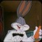 RABBIT 🥕