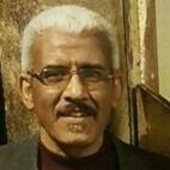 Eman Attiya Abo Zena