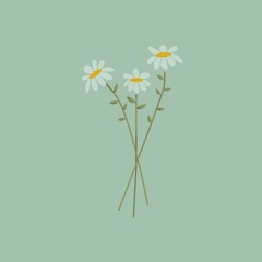 beautiful_strawberries9