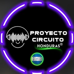 ProyectoCircuito