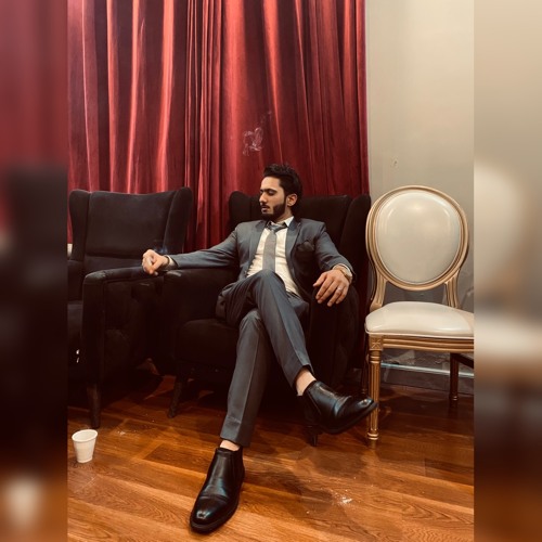 Malik mudassir — artist photo