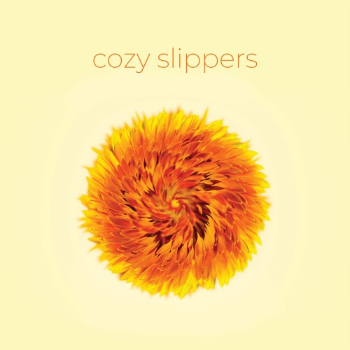 Cozy Slippers’s avatar