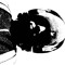 c4llun3