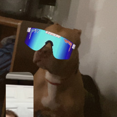 Jonah Sannito