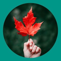 Đời Như Lá Vàng Úa Trên Cành