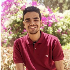 Rimon Abdelnasser