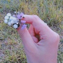 divskth:)