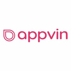 IT Consulting Services Company AppVin Technologies