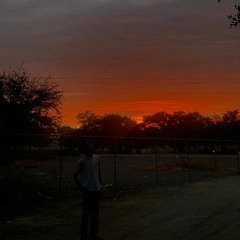 del río-ed maverick