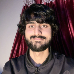 Muhammad BinShahzad