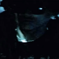 eighteenhunnid records*