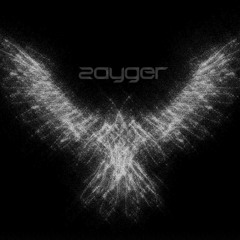 sagi zayger