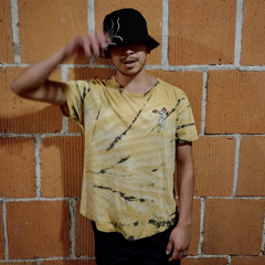 DRAVIS