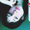 ITTA