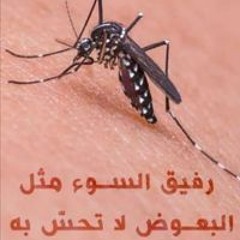 Lab Mohmmed
