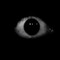 eye i aye