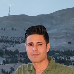hamed
